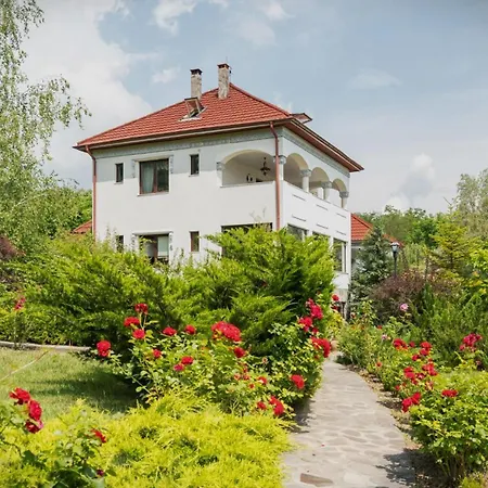 Vendégház Conacul Malul Alb 4*