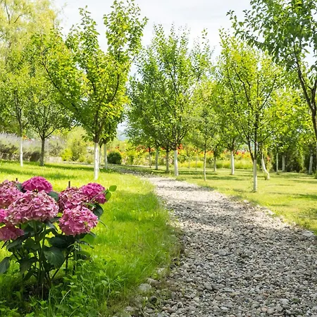 Conacul Malul Alb Râmnicu Vâlcea